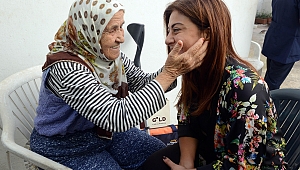 Tazelenme Üniversitesi'nde eğitim