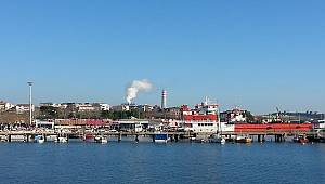 Danıştay'dan kömür santral kararı
