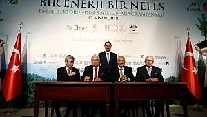 Enerji sektörü 5 milyon ağaç dikecek
