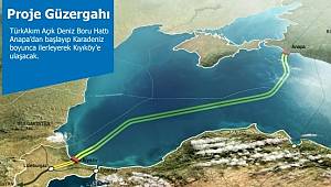 RUSYA BAŞKANI PUTİN: Türk Akım Doğalgaz Boru Hattı için Türkiye'ye geliyor