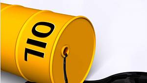 Turkey is a maximum of crude oil from Russia