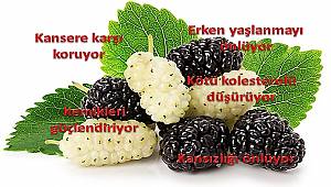 Enerji için yeyin