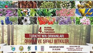 Orman Fotoğraf Yarışması başladı