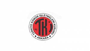 TKİ - Şoförlü araç kiralama hizmet alımı için ihale açtı!