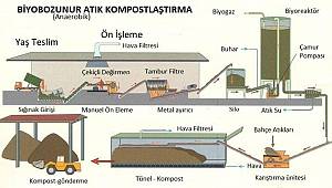 Karpuz - kavun kabuklarını atmayın - Niye mi?