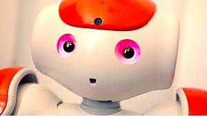 Yalvaran bir robotun fişini çekermisiniz?