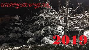 Happy New Year