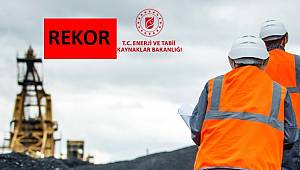 Madenlerde 11 bin 95 ocak denetlendi