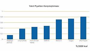 Isınmak için en ucuz yakıt doğal gaz en pahalı LPG