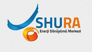 Power System Analyst