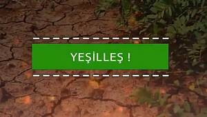 OGM: Çölleşme - Yeşilleş (VİDEOLU)