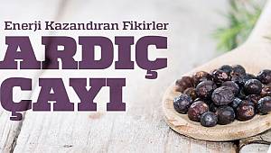 Boğaziçi Elektrik: Enerjik bir gün geçirmenize katkı sağlar