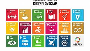 Sürdürülebilir Kalkınma Hedefleri:Artık ‘Sürdürülebilir Kalkınma Amaçları’ olarak anılmaya başlandı
