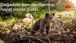 Doğadaki tüm dostlarımız: Hayat sizinle güzel