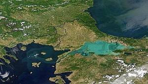 TEMA Vakfı: Toplumla paylaşılmalı