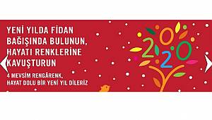 TEMA Vakfı: Yeni yılda fidan bağışında bulunun