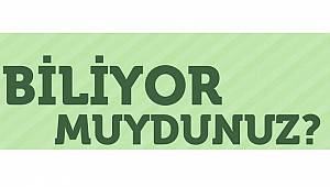 Hidroelektrikte Türkiye...