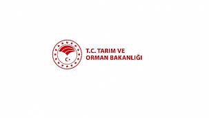 İşçi Alımları Noter Kurasıyla yapılacak - AYRINTILAR!