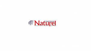 KAP'a bildirdi - Naturel Enerji Genel Müdürü değişti!