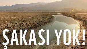 WWF Türkiye: Şakası yok!