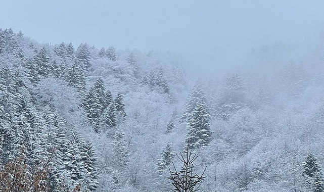 Uzungöl'de kış - Hafta sonu haberi!