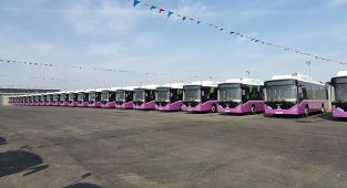 DOĞAL GAZLI - Otokar'ın 50 şehir içi otobüsü Azerbaycan’da hizmete başladı!