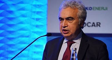 We 'recommended Belgium, Germany and Japan to put nuclear back on the agenda' - IEA