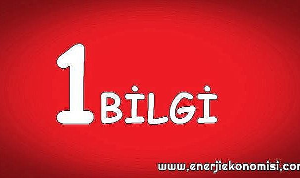 Türkiye'de kaç elektrikli -  Hibrit araç var? Elektrikli - Hibrit araç ne demek?