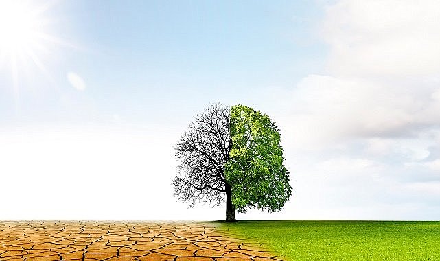 COP27 İklim Zirvesi - "Gelişmiş Ülkeler Kayıp Ve Zarar Fonunun Kurulmasına Yanaşmıyor"
