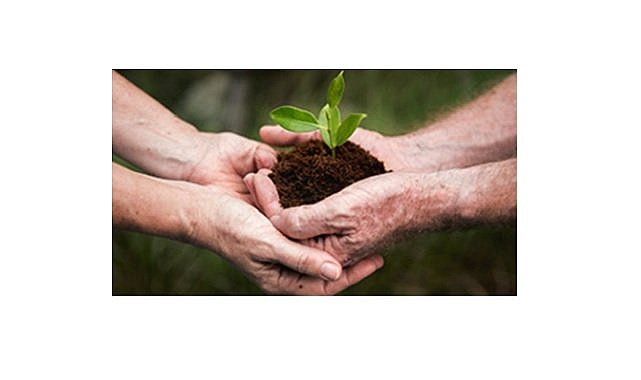 874 hanenin 1 aylık ELEKTRİĞİ üretildi - 'ORGANİK Atıkları' Elektriğe Dönüştürme Projesi' ile!