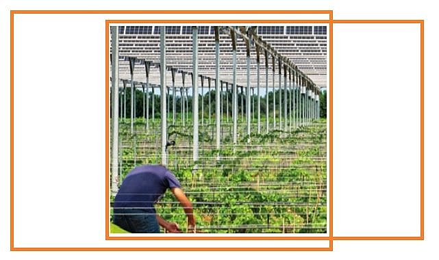 Tarımsal GES'lere ihtiyaç var - Türkiye’nin İlk Tarım - Güneş Enerji Santralleri Raporunu Açıkladı!