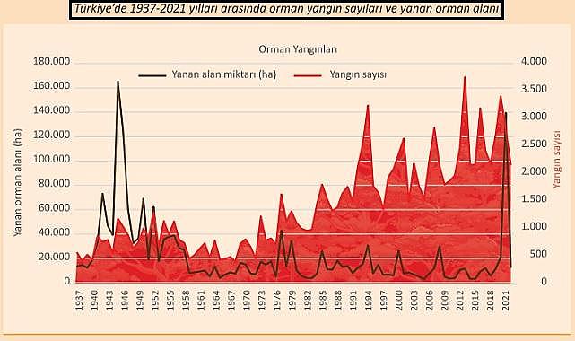 1937'den bu yana ''Türkiye'de yanan orman alanları ve orman yangın sayısı'' - TÜSİAD raporu!