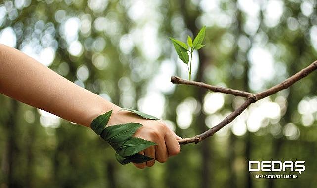 Osmangazi Elektrik Dağıtım - ‘Dijital Arşiv’ projesine başladı!