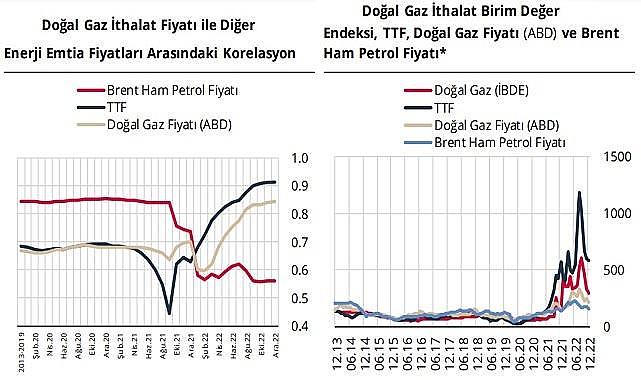 'Enerji İthalat Fiyatlarının Son Dönem Seyri ve Belirleyicileri'' - Merkez bankası hazırladı!