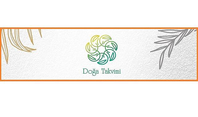Kasım ayı ''Doğa Takvimi'' - Aksa Doğalgaz hazırladı!