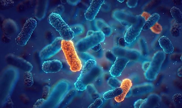 Gereksiz antibiyotik kullanmanın 5 önemli zararı!