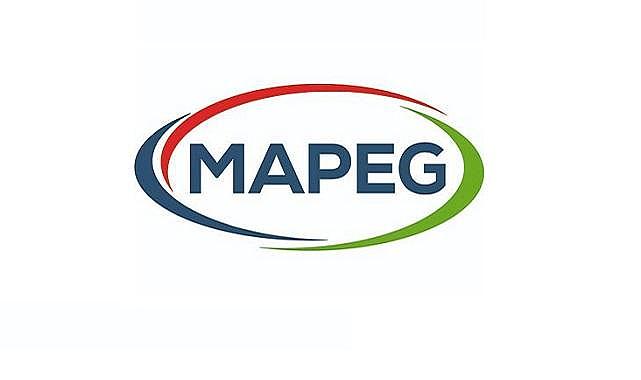 316 maden sahası için ihale duyurusu - MAPEG