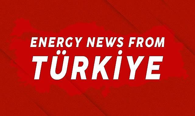 ''SEISMIC RESILIENCE AND ENERGY EFFICIENCY IN PUBLIC BUILDINGS PROJECT''