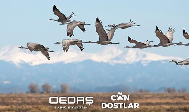 OEDAŞ ‘Can Dostlar’ projesinin kapsamını genişletti