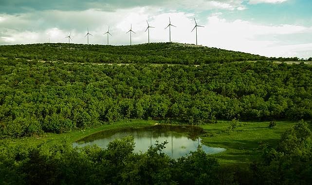 Polat Enerji - Dünya Rüzgâr Günü’nde “Rüzgâr Enerjisinin Önemine…”