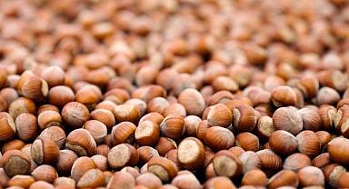 Sürdürülebilir fındık için kaydettiği güçlü ilerlemeyi ve yeni dönem hedeflerini açıkladı!