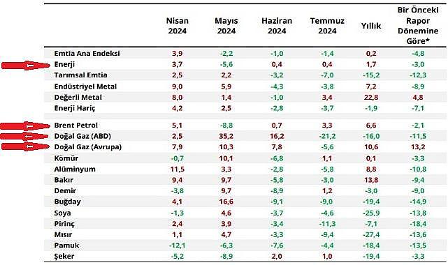 Enerji kalemlerinin enflasyona etkisi - Merkez Bankası Enflasyon Raporu!