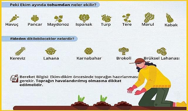 Ekim ayında ''ne ekilir, ne dikilir'' biliyor musunuz? Tarım ve Orman Bakanlığı hazırladı!