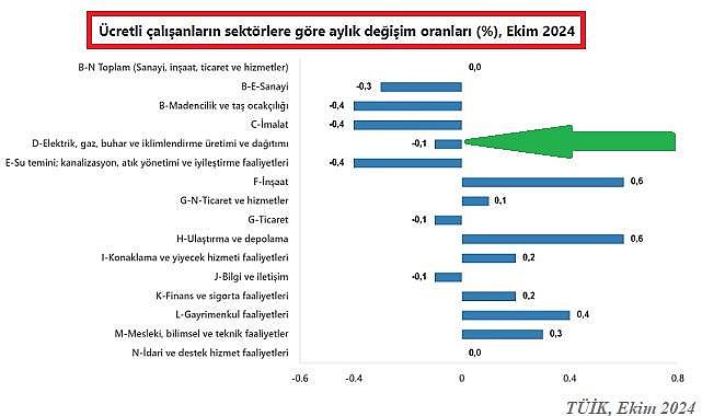 Elektrik - Gaz sektörleri de var ''Türkiye'de kaç ücretli çalışan var?