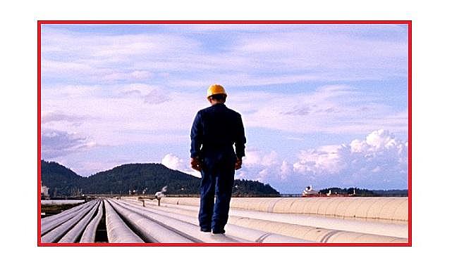 Enerji sektörü net sıfır hedeflerini erteliyor - Bain &amp; Company anketi!