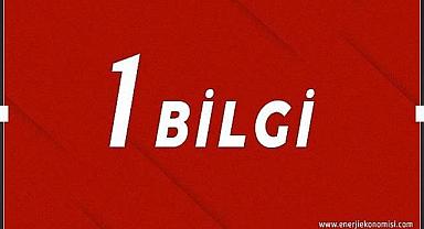 İlk özel yerli sermayeli elektrik şirketi ne zaman kuruldu?