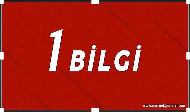 İlk özel yerli sermayeli elektrik şirketi ne zaman kuruldu?