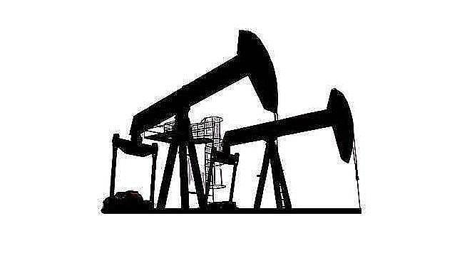 TPAO ''Pakistan denizlerinde Petrol ve Doğal Gaz arayacak''