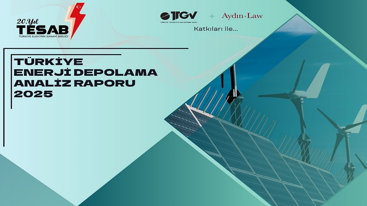 TESAB ''Türkiye Enerji Depolama Durum Raporu''