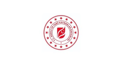 Enerji Bakanı Bayraktar ''Aziz milletimizin başı sağ olsun''